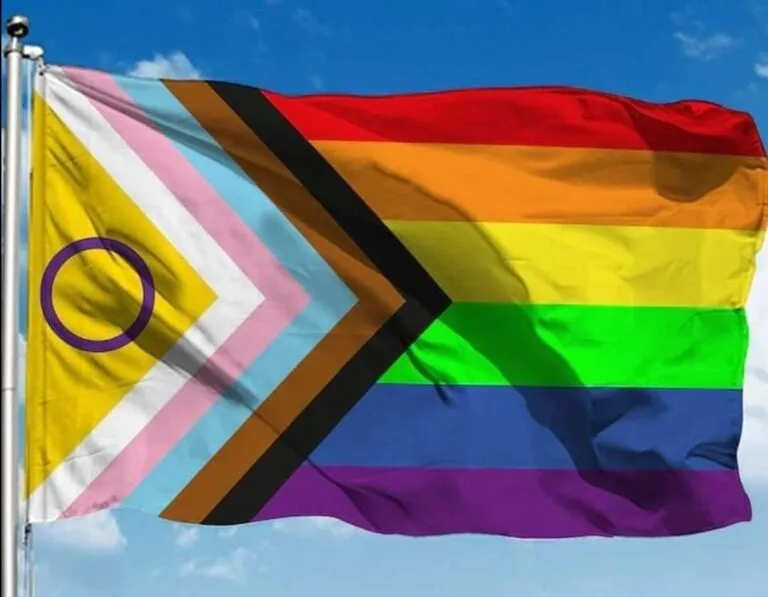 CONSELHO APROVA PLANO ESTADUAL DE POLÍTICAS PÚBLICAS PARA LGBTQIAPNB+