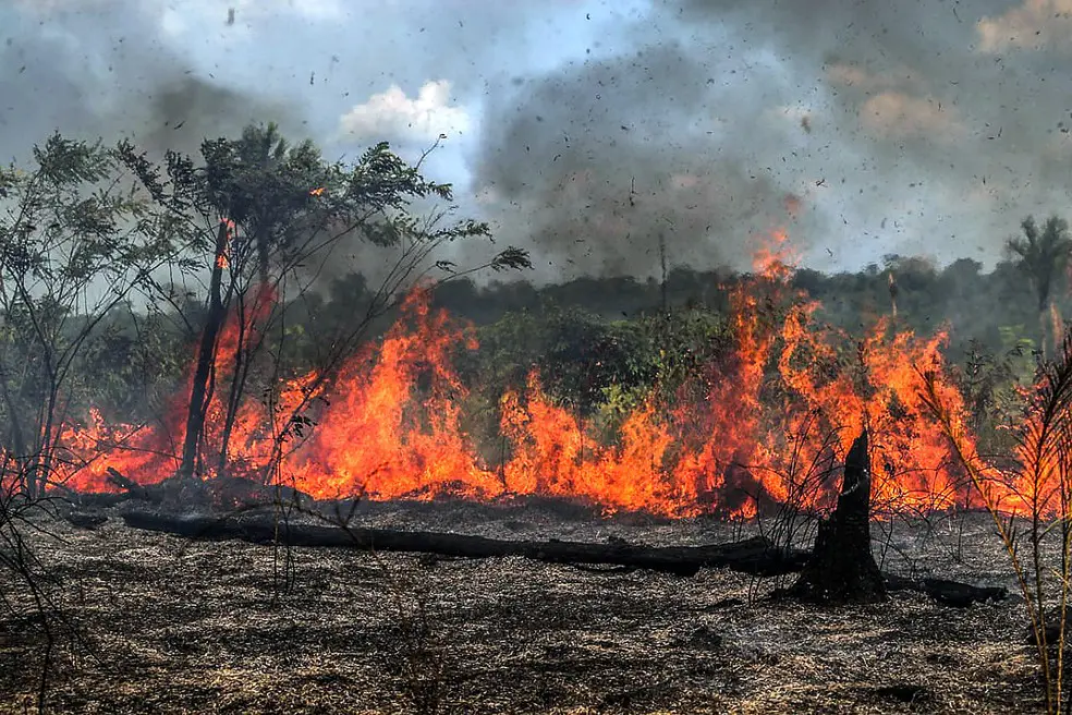 PARAÍBA REGISTROU QUASE TRÊS MIL QUEIMADAS E A SEMANA DO MEIO AMBIENTE, EM CUITÉ, FOCA NA PREVENÇÃO