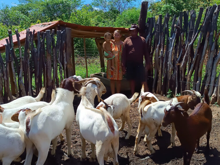 PROGRAMA INCLUIR PARAÍBA BENEFICIA MAIS DE MIL FAMÍLIAS AGRICULTORAS EM 52 MUNICÍPIOS