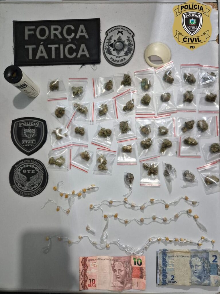 OPERAÇÃO LINHA DE FOGO – SEGUNDA FASE: OITO SUSPEITOS SÃO DETIDOS EM NOVA FLORESTA