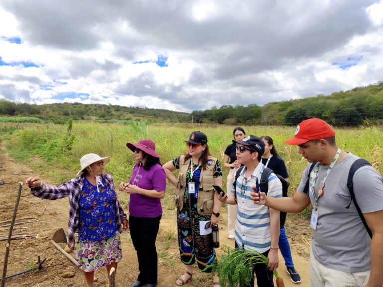 PARCERIA ENTRE UFCG E PREFEITURA DE CUITÉ FORTALECE AGRICULTORES QUE ABASTECEM MERENDA ESCOLAR